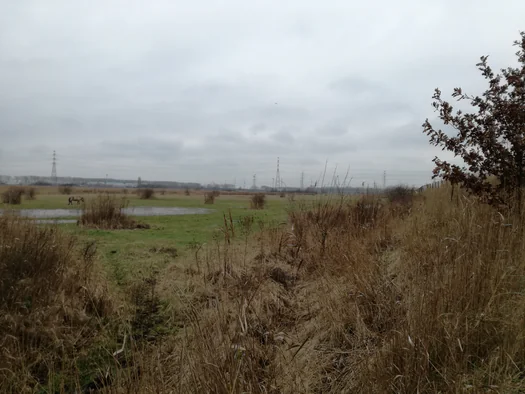 Plains of Zwijndrecht, Antwerp (Belgium)